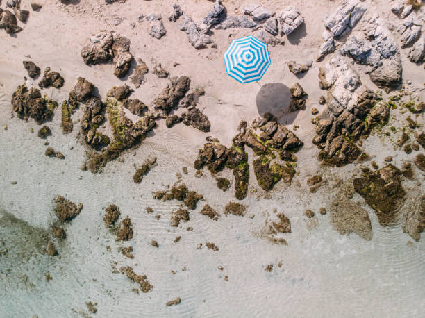 istock Aerial View Untouched Beach 1224702118
