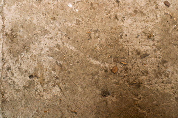 brown Grunge concrete wall texture background. space for text.