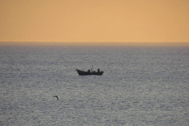 istock Boats preparing for squid fishing 1224705149