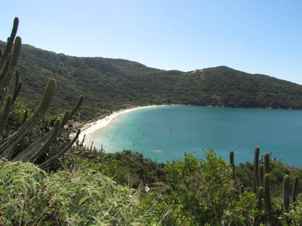 istock Partial view of the oven beach 1224705193
