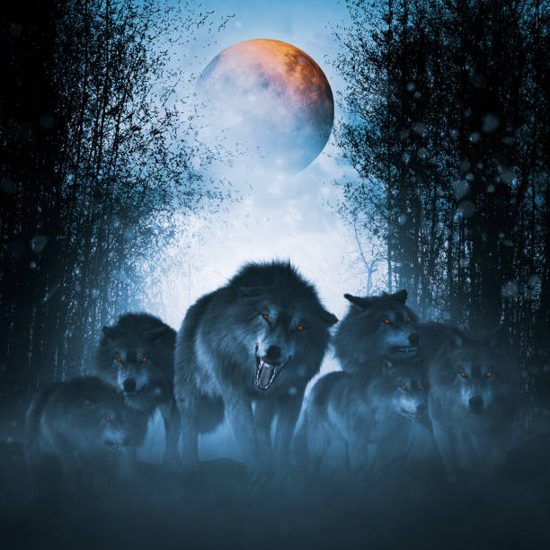 The pack of red moon,Group of ferocious wolf in the forest,3d illustration stock photo