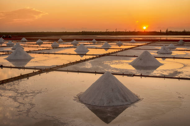 istock Salt pan with sunset in Tainan, Taiwan 1224712670