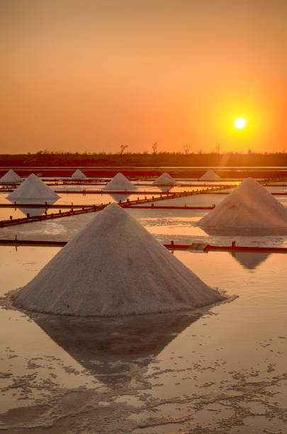 istock Salt pan with sunset in Tainan, Taiwan 1224712671