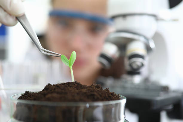 istock Close-up in laboratory stands sprout in ground 1224713571