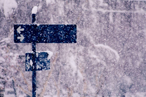 segnale blu con frecce in mezzo alla nevicata di bariloche. il cartello dice nuova costituzione. - bariloche argentina business patagonia foto e immagini stock