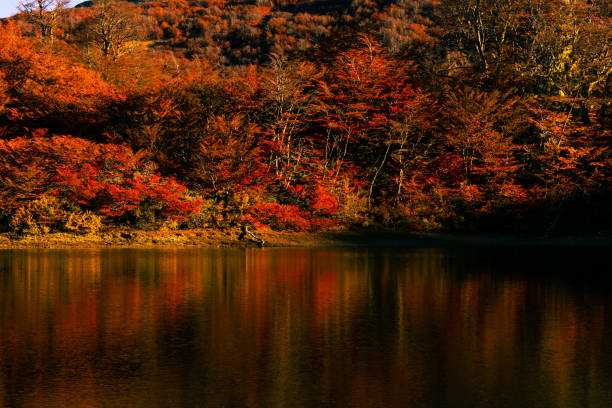 Reflection of trees over the lake Chalhuaco in autumn