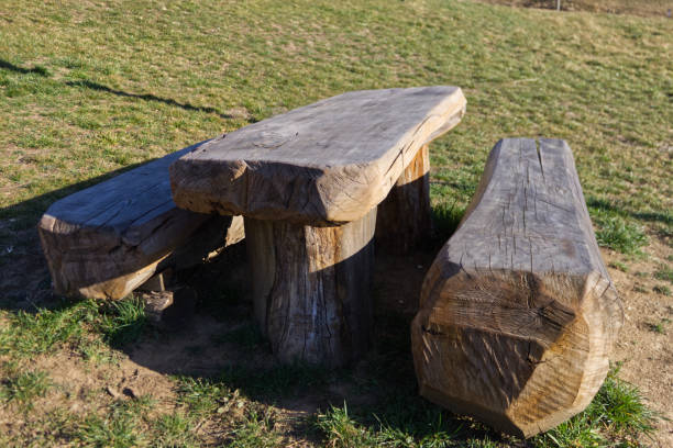 istock benches and table made from a single wooden trunk in a cottage 1224716435