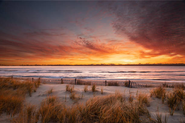 Autumn sunrise at the beach with grass and a dune fence in the foreground stock photo