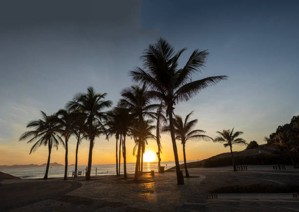 istock Arpoador boulevard with the Devils beach and silhouetted palm trees in Rio de Janeiro 1224717784
