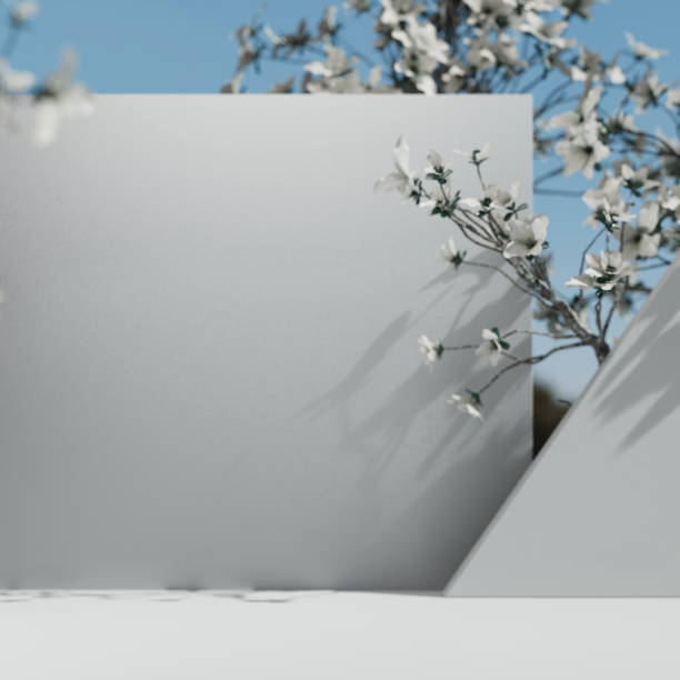 natural cosmetic scena prezentacji produktu. naszeduki wiosenne umieszczenie z kwiatami. białe tło. zawartość ilustracji 3d - otwarta przestrzeń ustawienia zdjęcia i obrazy z banku zdjęć