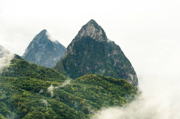 霧に包まれた世界的に有名なピトン - st lucia antilles eco tourism tourism ストックフォトと画像