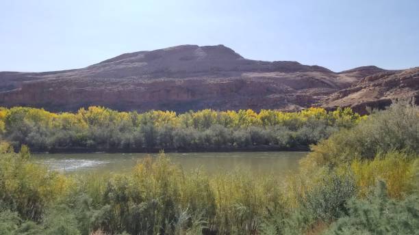 istock San Juan River in Autumn 1224729232