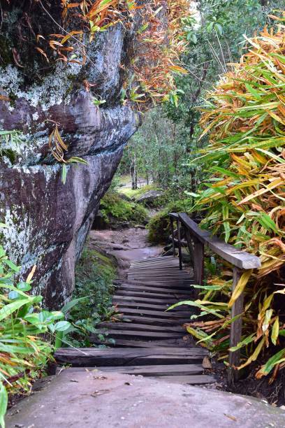 istock old and dirty broken wood bridge on walk way 1224733828