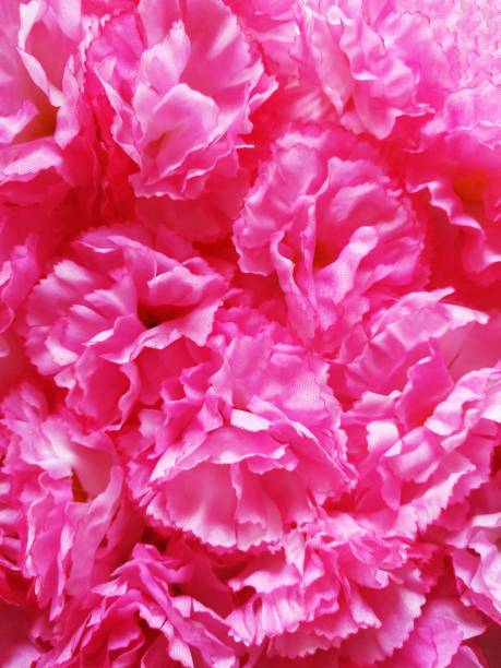 istock lots pink fabric flower for abstract background 1224734492
