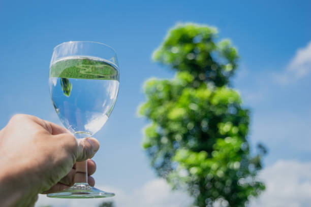 pure water on wineglass stock photo