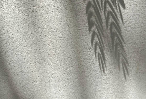 istock abstract shadow of leaves on a concrete wall background 1224748555