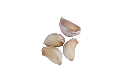 Garlic White Background and printable perfect for use in a wide range of new media templates: Web Marketing Agency, Social Media Services Showcase, Online Marketing Apps and Web.