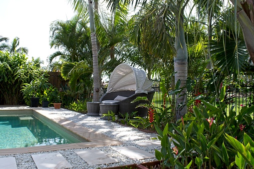 Backyard with swimming pool, tropical flowers and palm trees.