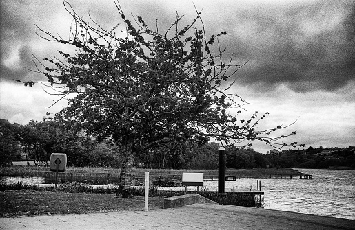 old tree, a sign on the edge of the river, this black and white photo was taken with a pinhole film camera, which corresponds to the camera characteristic