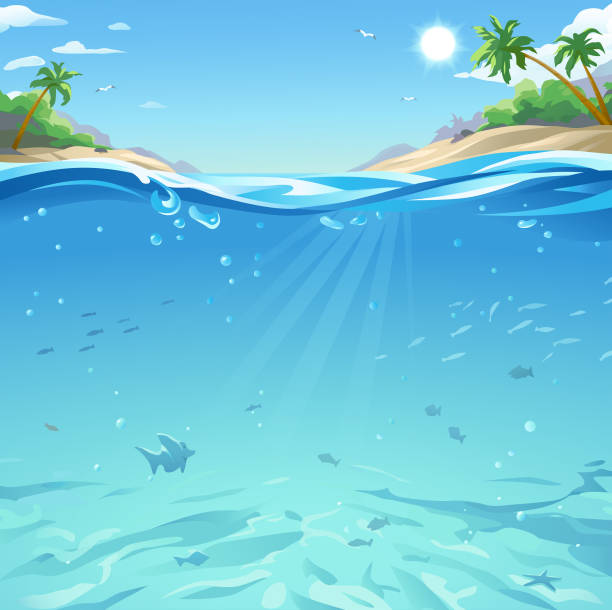 illustrations, cliparts, dessins animés et icônes de mer tropicale sous et au-dessus de la surface de l’eau - mer horizon bleu
