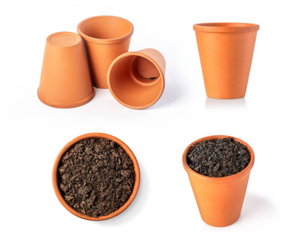 istock clay pot filled with organic potting soil 1224756500