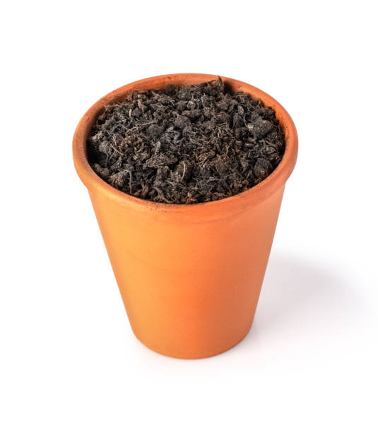 istock clay pot filled with organic potting soil 1224756515