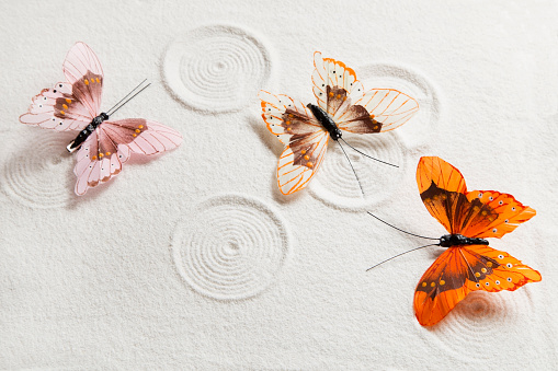 White sand pattern with colorful butterflies