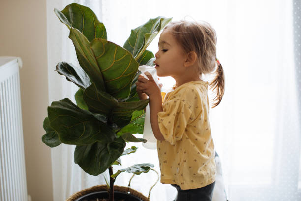 menina regando plantas domésticas - child little girls single flower flower - fotografias e filmes do acervo