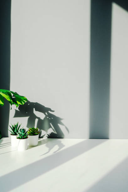 istock Close up view of simple workspace with tree light window background 1224760702