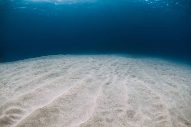 istock Tropical blue ocean in the deep with white sand underwater in Hawaii 1224760905