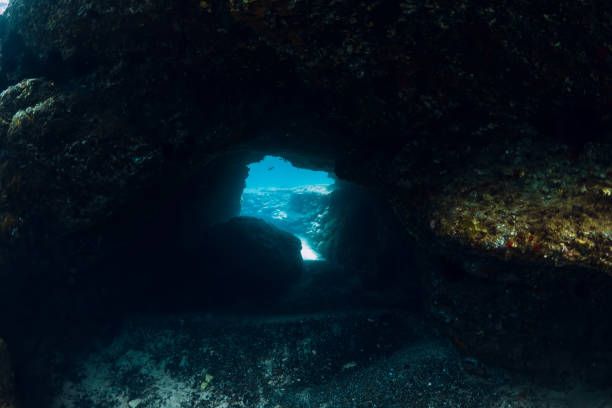 istock Underwater scene with cave in blue ocean 1224760930