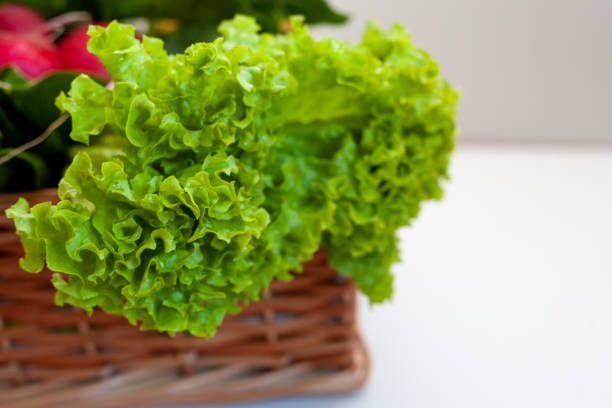 Green lettuce leaves in a vegetable basket. Salad set on a white table with place for text. Food.