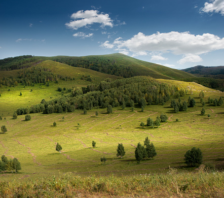 In spring, green prairies and mountains with forests in the distance