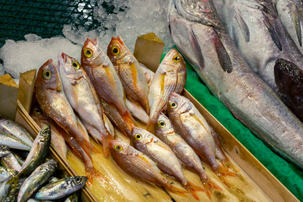 istock fresh fish on the ice in the market 1224763059