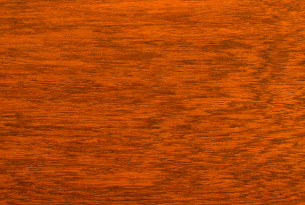 istock background and texture of Macro Ormosia wood 1224764975