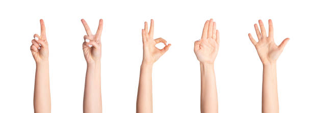 istock Collage with unrecognizable woman showing various gestures isolated on white, close up. Panorama 1224769256