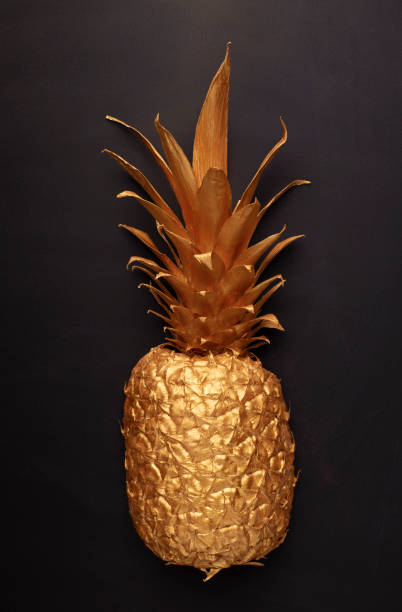 istock Fruit art minimal. Pineapple in gold paint 1224770098