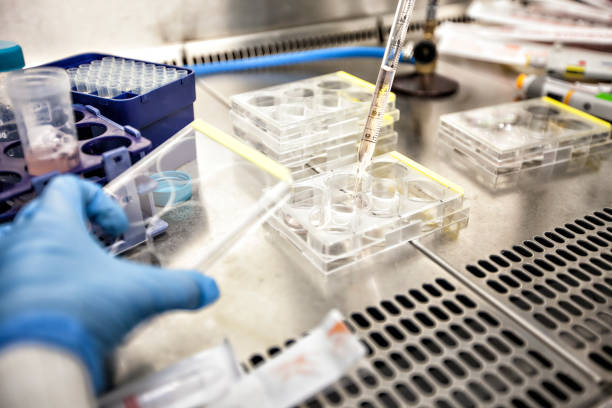 istock lab equipment detail 1224770798