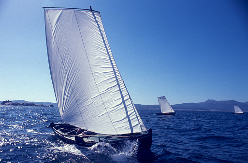 Dornas traditional boats of Galicia sailing in the ria de Arousa Rias Baixas region