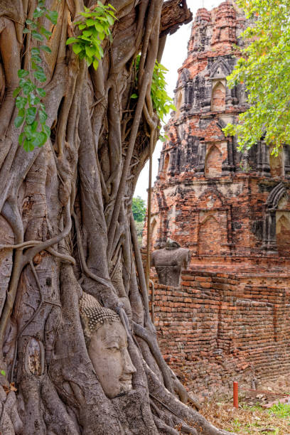istock Buddhist temple of Wat Mahathat, Sukhothai - Thailand 1224776656