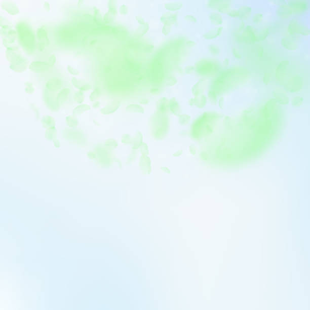 istock Green flower petals falling down. Favorable romant 1224783162