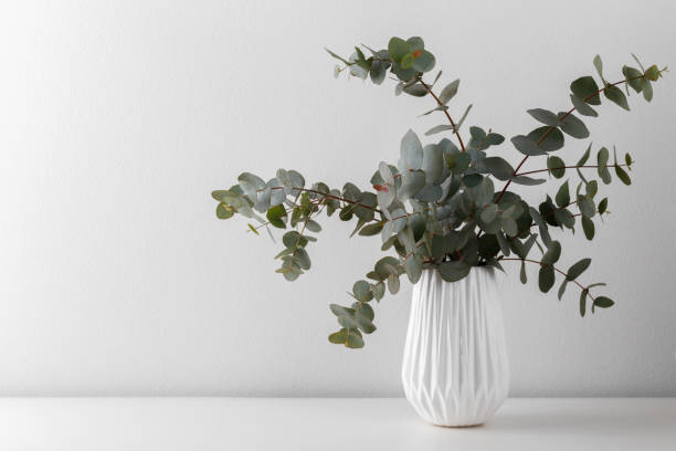 istock Bouquet of eucalyptus in the vase 1224783265