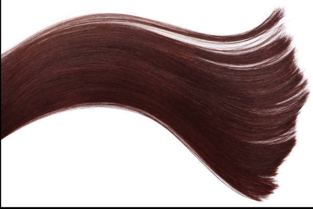 istock long real hair isolated on white background 1224787784