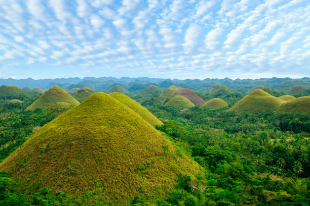 Chocolate Hills, surrounded by lush tropical forest. Blue sky background.