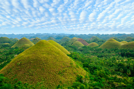 Chocolate Hills on Bohol island, Philippines.