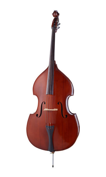 istock Double Bass, String Music Instrument Isolated on White background 1224797576
