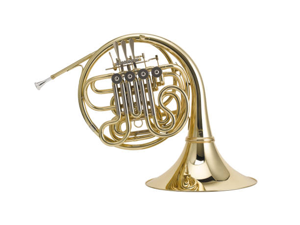 Golden French horn, Brass Music Instrument Isolated on White background The French horn is a brass instrument. brass horn stock pictures, royalty-free photos & images