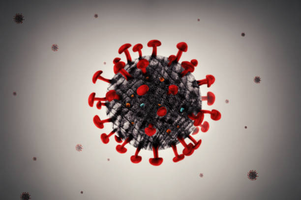 istock Novel Coronavirus 2019, COVID-19, Under the microscope 1224799867