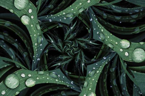 abstract visual art. grass with drops with color explosion. colorful background for brochures graphic or concept design. can be used for presentation, postcard or wallpaper.