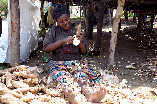 16 July 2019 - Ruhengeri, Rwanda : A woman peeling a cassava root in northern Rwanda.